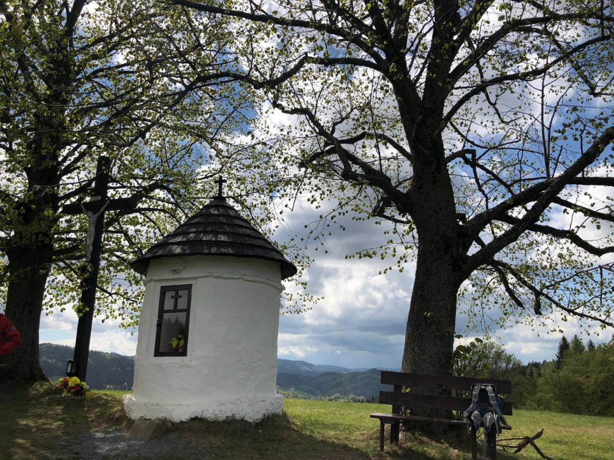 Horska Chalupa Pluskovjanka Вельке-Карловице Экстерьер фото